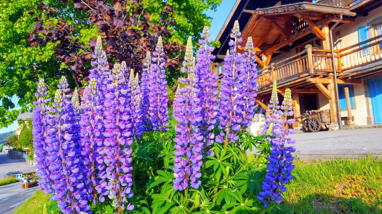 Готель Chalet La Source Saint-Nicolas-la-Chapelle  Екстер'єр фото